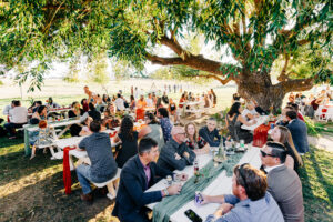 Guests sitting in the shade of ancient willow tree at McVey Homestead wedding reception